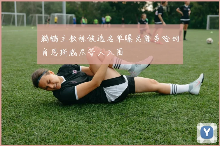 鹈鹕主教练候选名单曝光隆多哈姆肖恩斯威尼等人入围