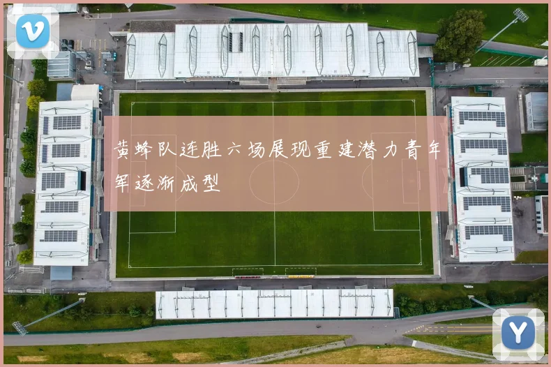 黄蜂队连胜六场展现重建潜力青年军逐渐成型