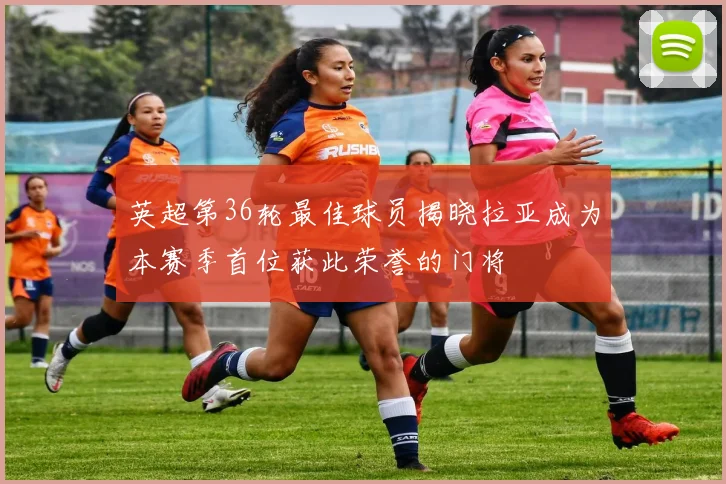 英超第36轮最佳球员揭晓拉亚成为本赛季首位获此荣誉的门将